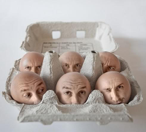 Eggheads sixpack