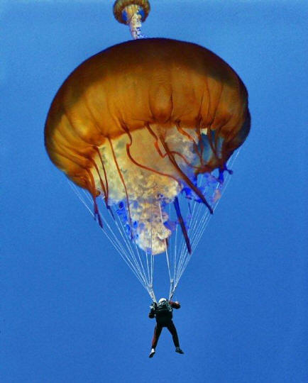 Kwal parachute